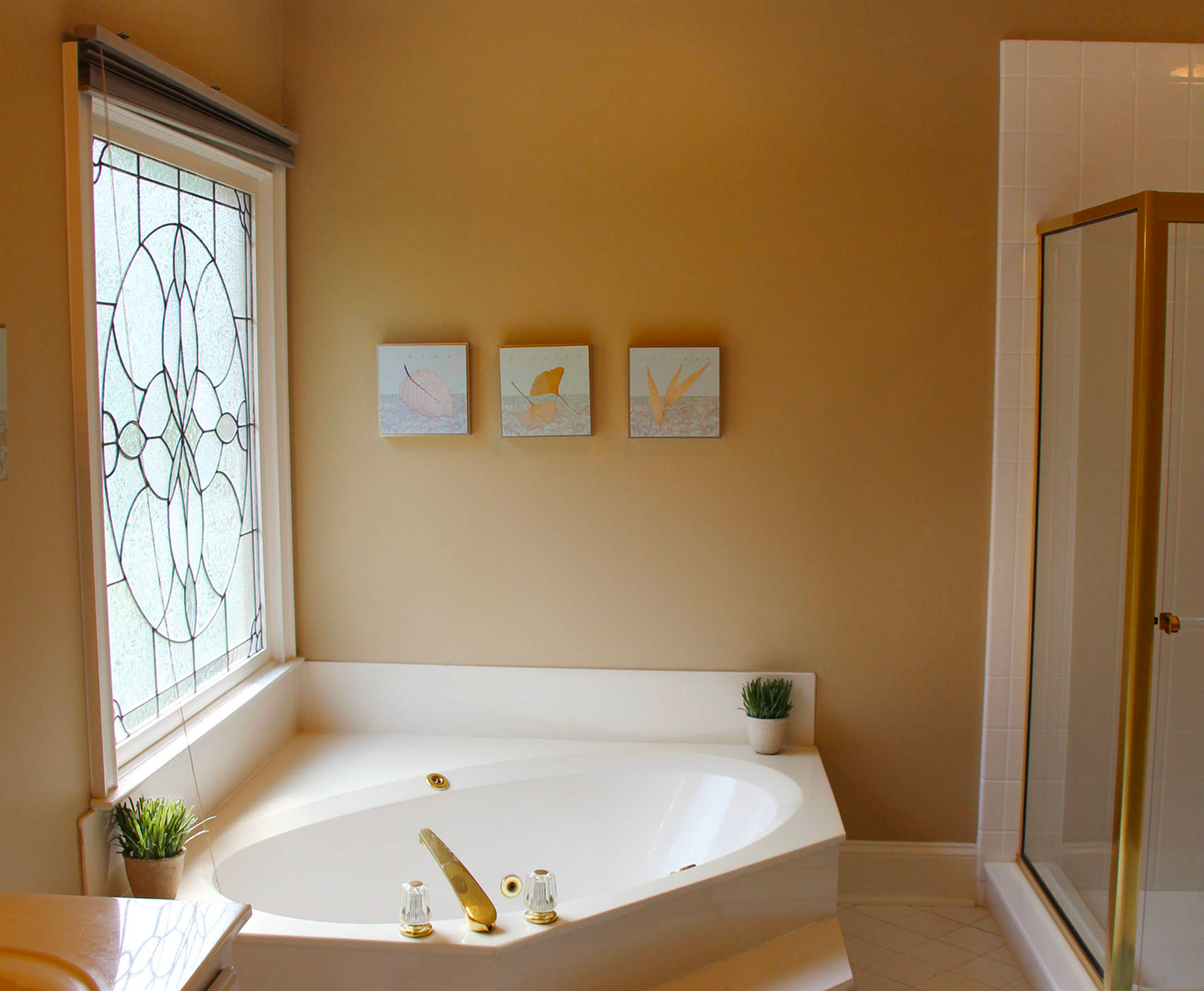 Arlington bathroom remodel — before